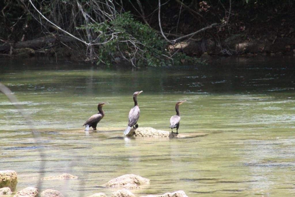 Nabitunich Βίλα San Ignacio Εξωτερικό φωτογραφία
